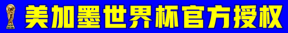 置顶横幅